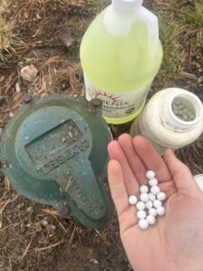 Well chlorination, well shock preparation